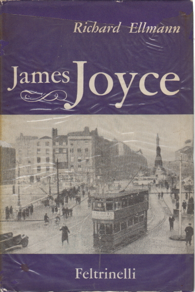James Joyce Richard Ellmann Essays Of Foreign Literature James Joyce Richard Ellmann Essays Of Foreign Literature Essays About Literature Library Dimanoinmanoit