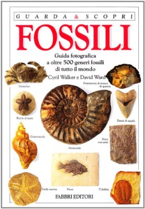 Fossili