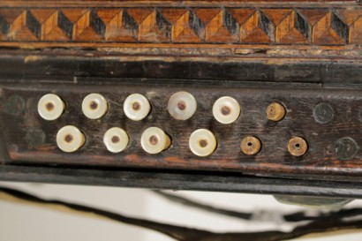 Paolo Soprani accordion-detail