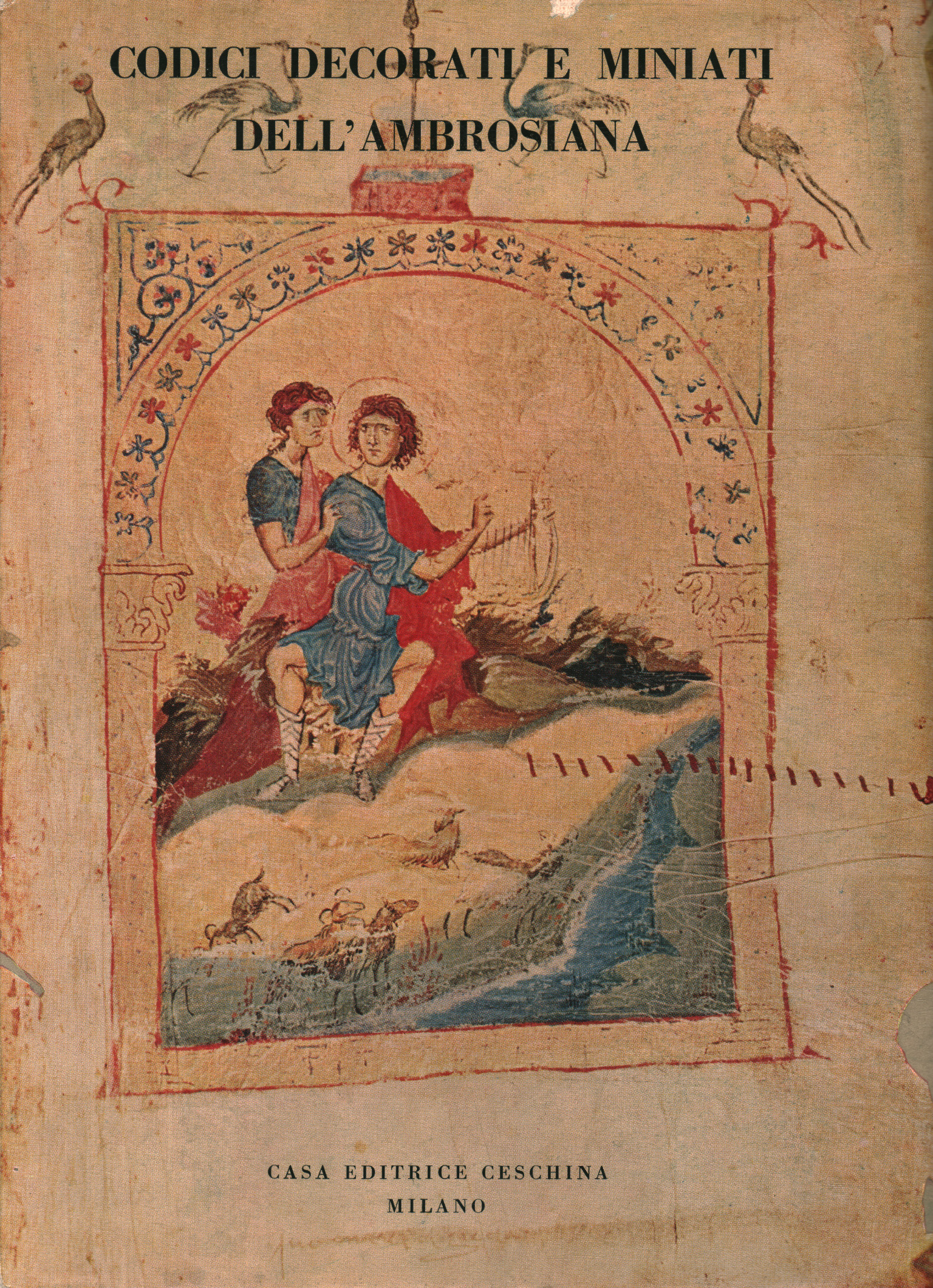 Decorated and illuminated codes of the