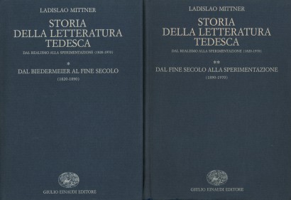 Storia della letteratura tedesca. Dal realismo alla sperimentazione (1820-1970) (2 Volumi)