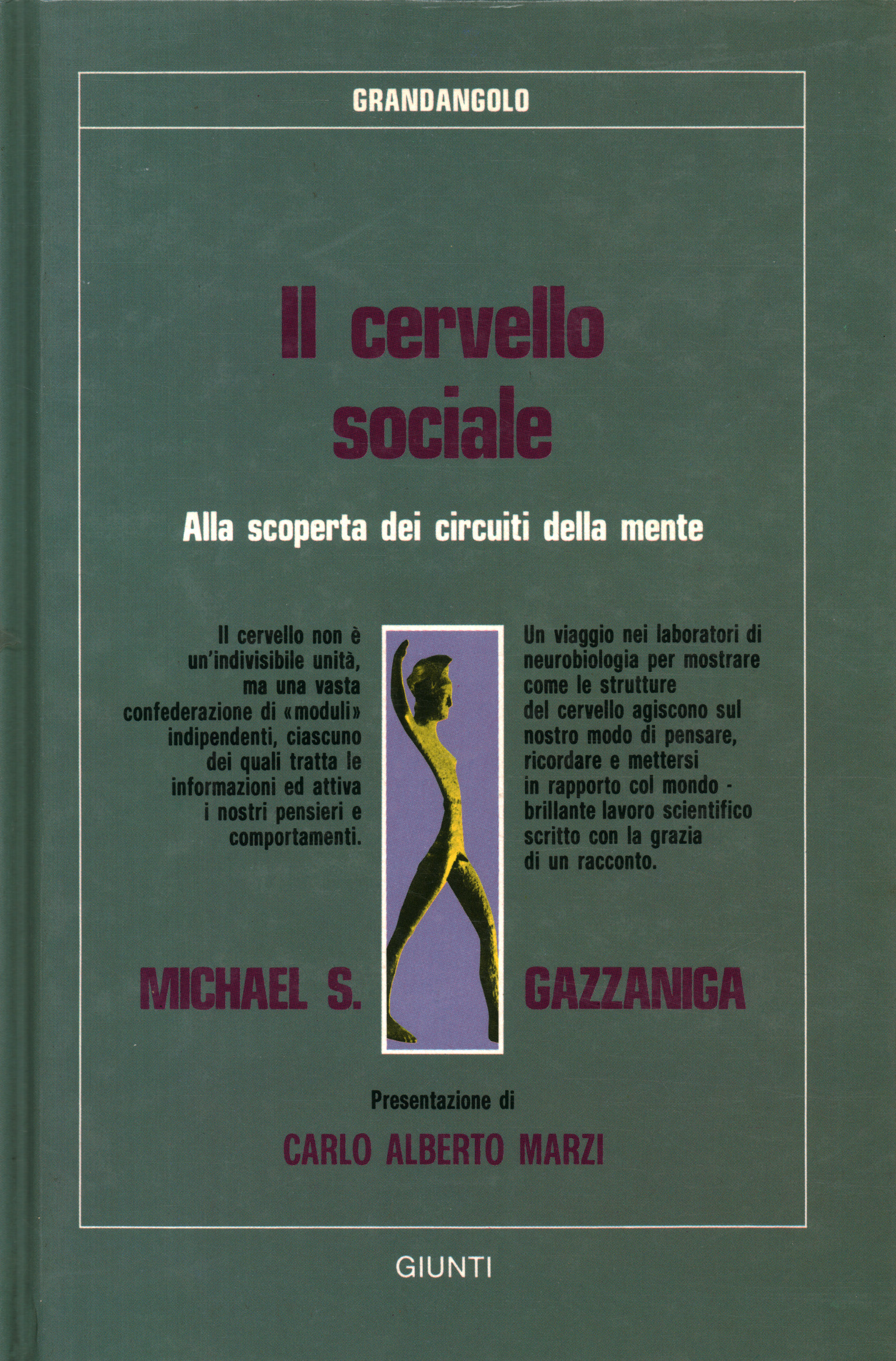 Il cervello sociale