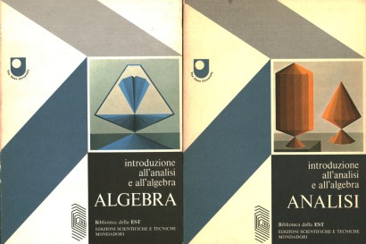 Introduzione all'analisi e all'algebra (2 Volumi)