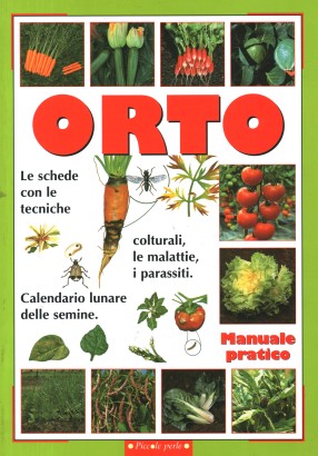 Orto