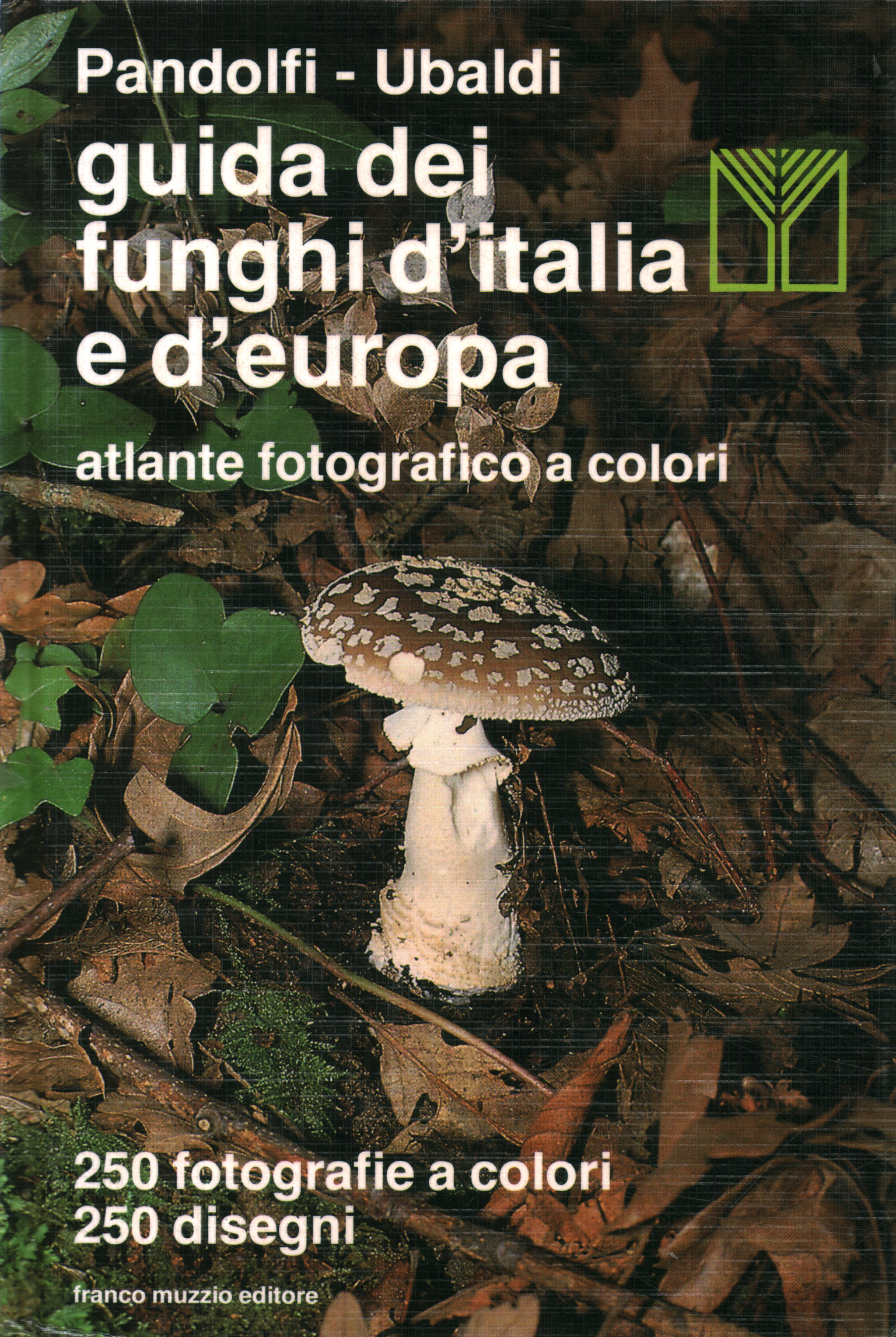 Mushroom guide of Italy and d