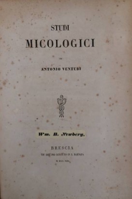 études mycologiques