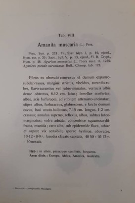 Iconographia mycologica voll.I-XXVIII,Iconographia mycologica voll.I-XXVIII,Iconographia mycologica voll.I-XXVIII,Iconographia mycologica voll.I-XXVIII,Iconographia mycologica voll.I-XXVIII,Iconographia mycologica voll.I-XXVIII,Iconographia mycologica vols.I-XXVIII, Iconografía micológica vols.I-XXVIII