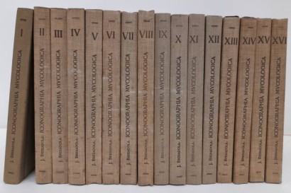 Iconographia mycologica voll.I-XXVIII,Iconographia mycologica voll.I-XXVIII,Iconographia mycologica voll.I-XXVIII,Iconographia mycologica voll.I-XXVIII,Iconographia mycologica voll.I-XXVIII,Iconographia mycologica voll.I-XXVIII,Iconographia mycologica vols.I-XXVIII, Iconografía micológica vols.I-XXVIII