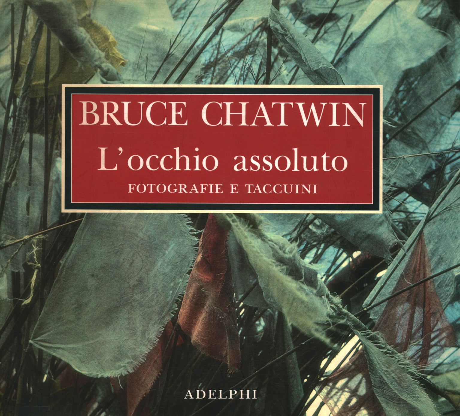 L'occhio assoluto