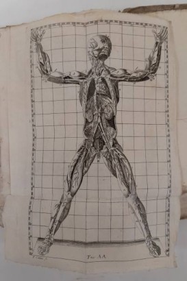 LISCME0132695_1044726 Anatomical structure exposure%,Anatomical structure exposure%,Anatomical structure exposure%,Anatomical structure exposure%