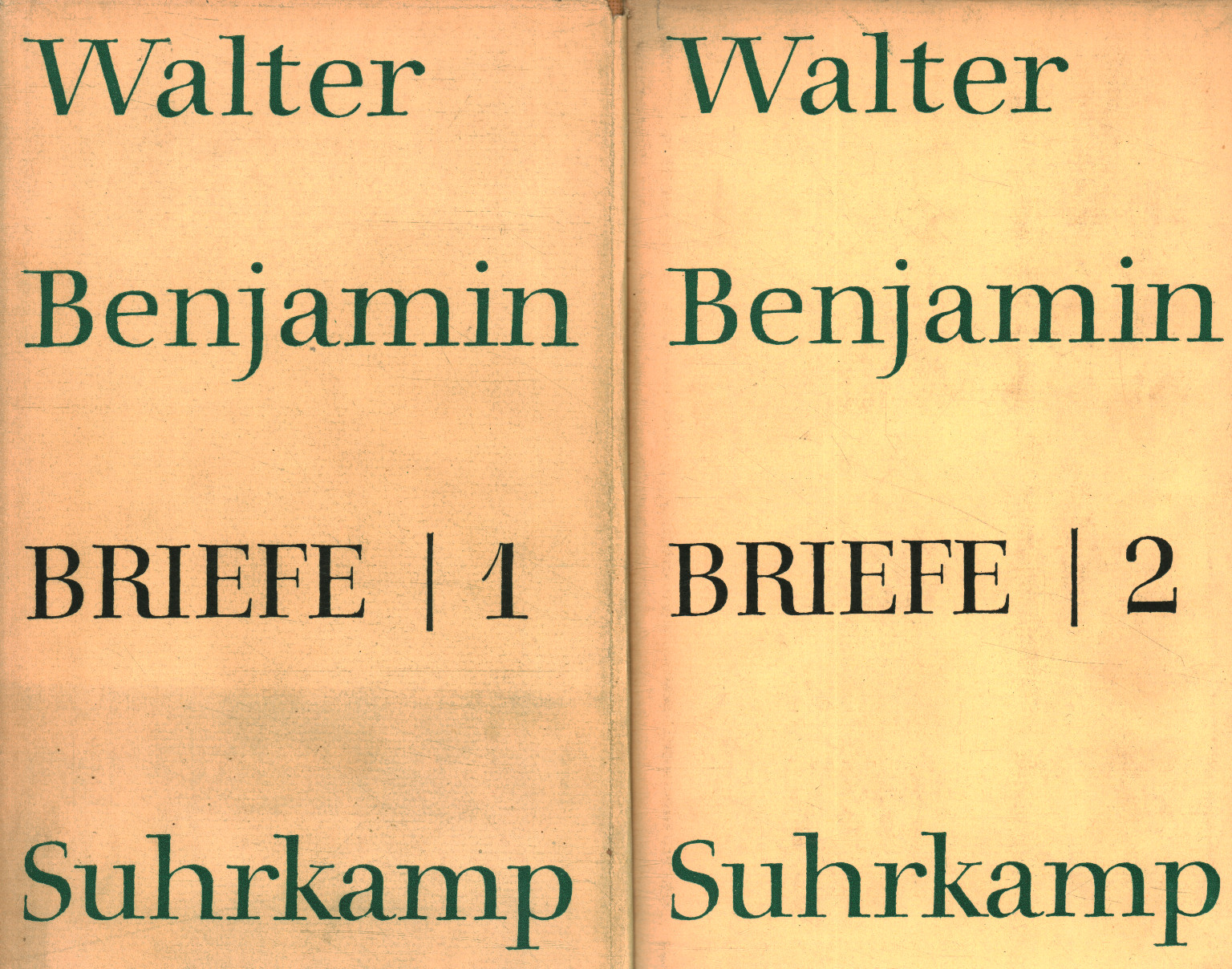 Briefe (2 Bände)