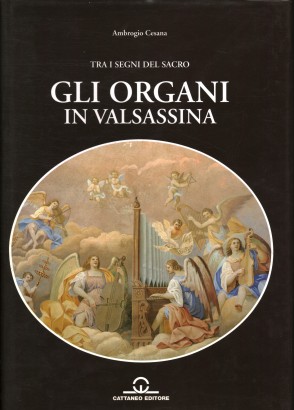 Gli organi in Valsassina