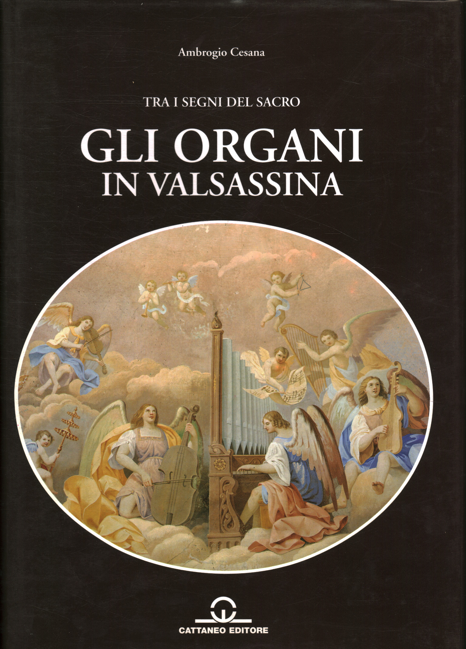 Gli organi in Valsassina