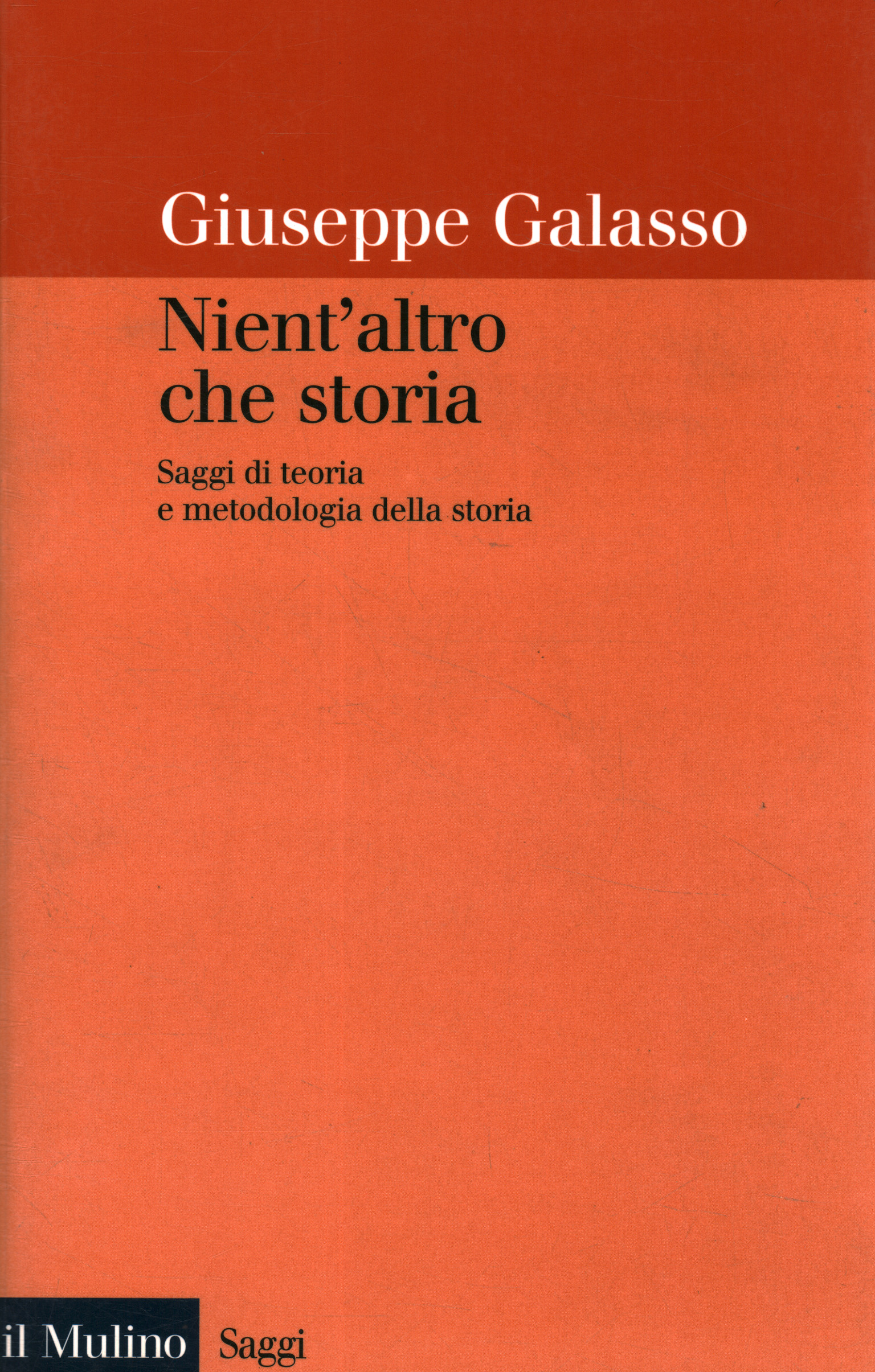 Nient'altro che storia Saggi di teoria