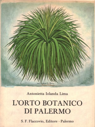 L'orto botanico di Palermo