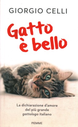 Gatto è bello