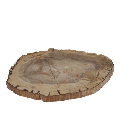 Fossile Holzplatte