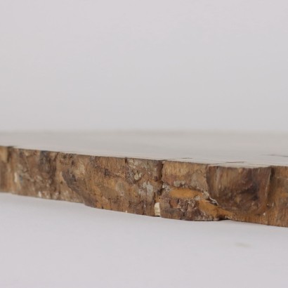 Fossil Wood Slab