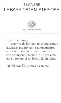 Le barricate misteriose