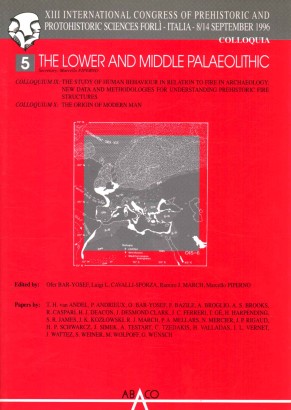 The Lower and Middle Palaeolithic