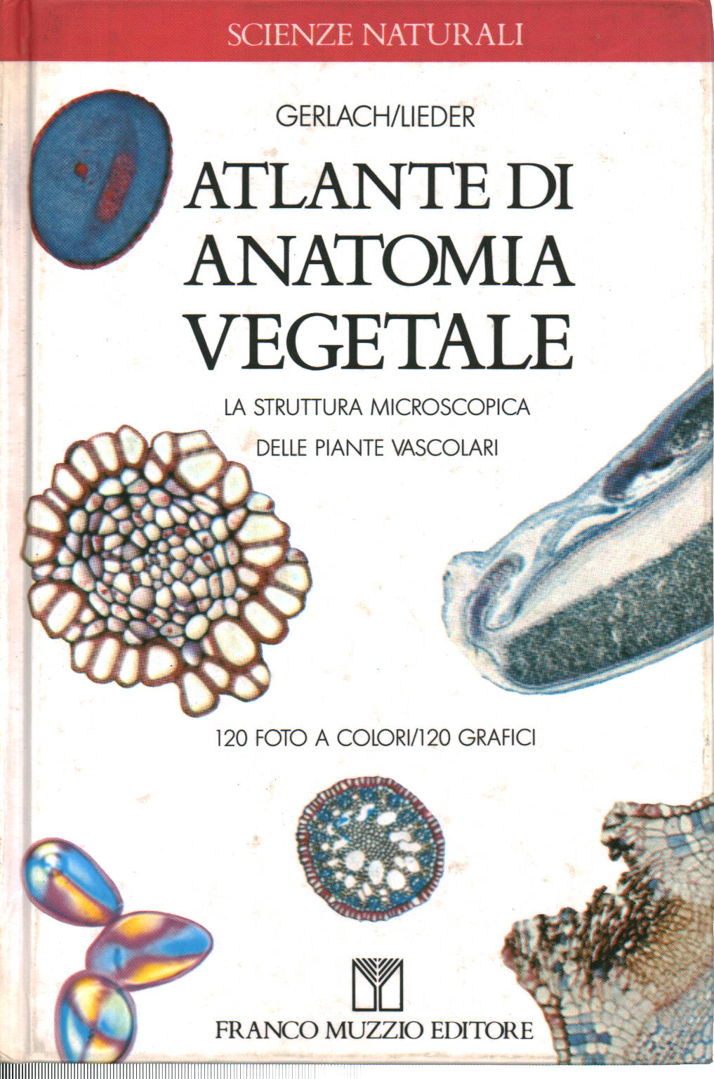Atlas der Pflanzenanatomie