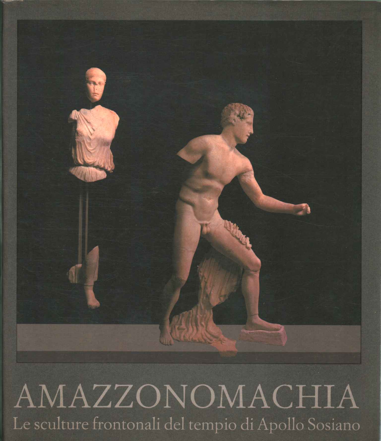 Amazzonomachia