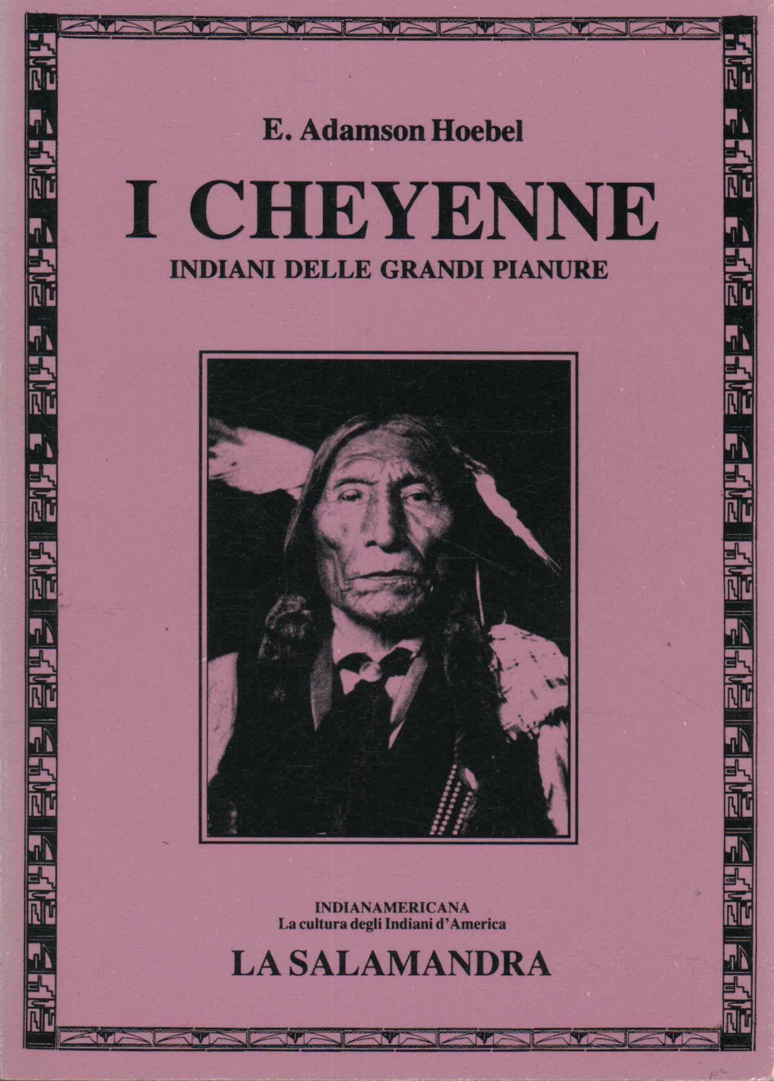 Die Cheyennes