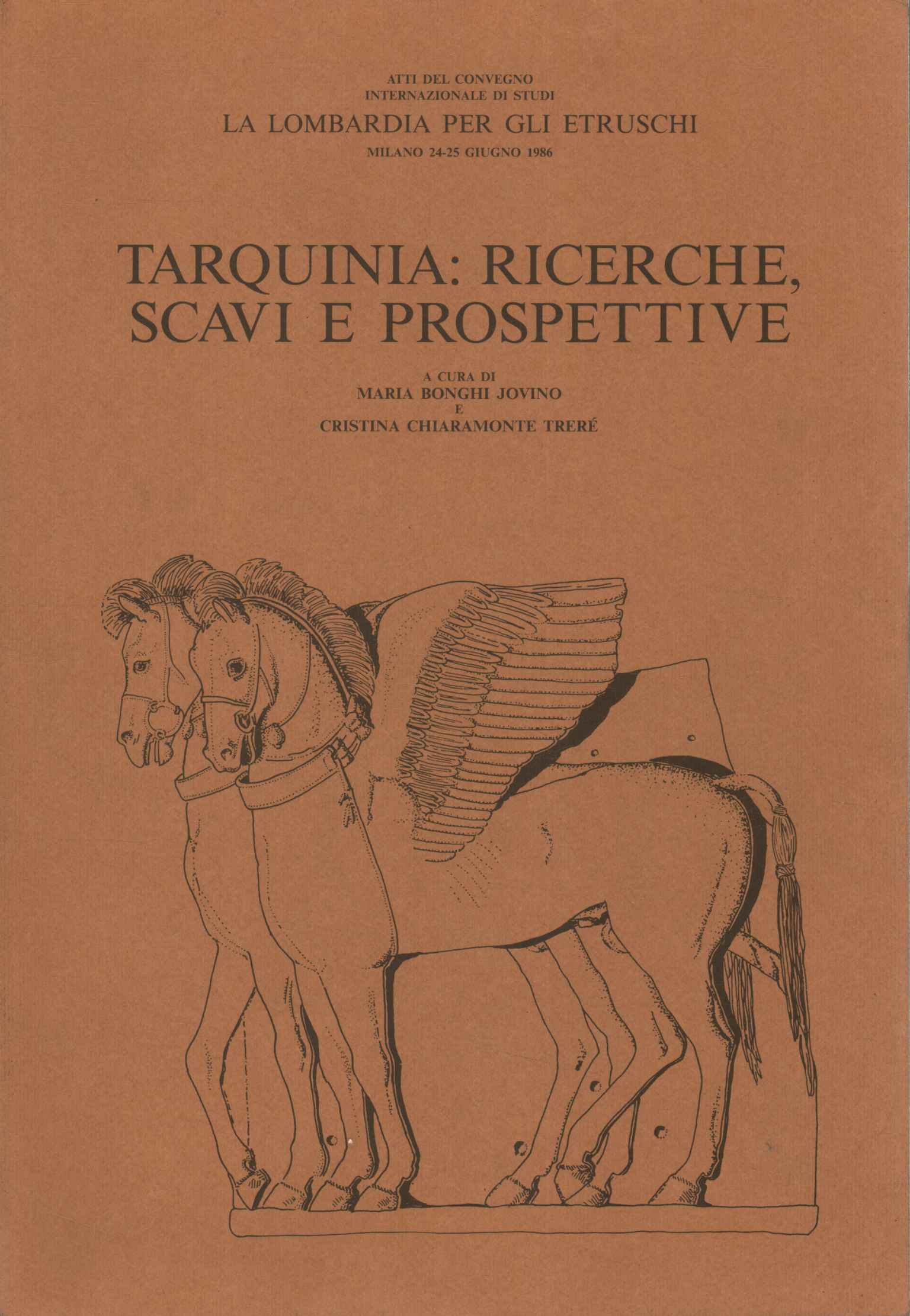 Tarquinia: ricerche scavi e prospettive
