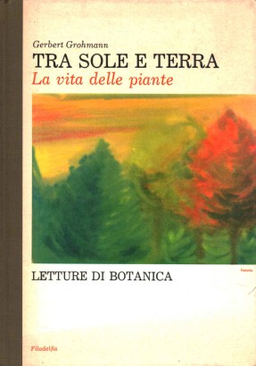 Tra sole e terra
