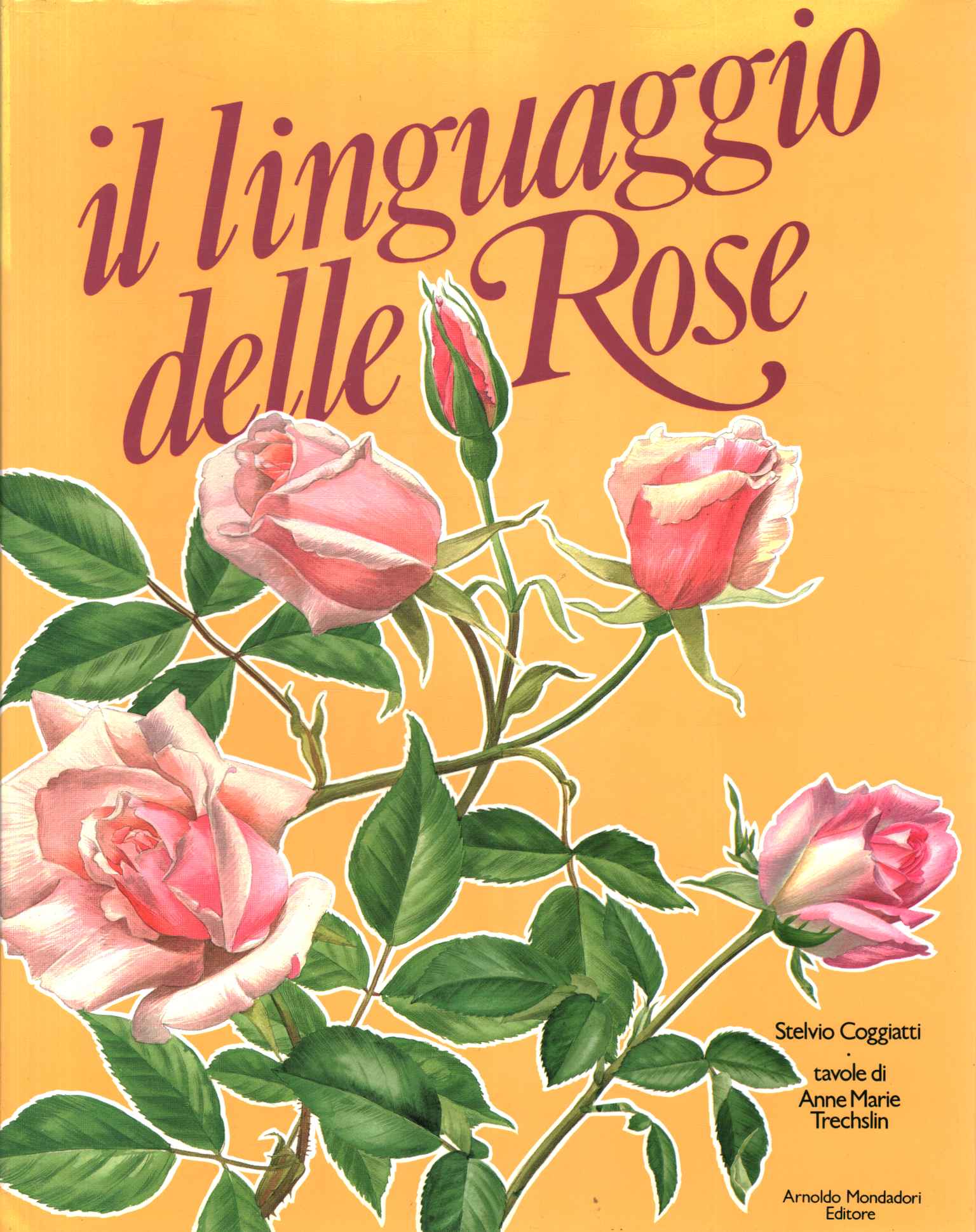 Le langage des roses