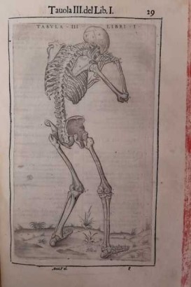 Anatomie des menschlichen Körpers, Anatomie des menschlichen Körpers von John