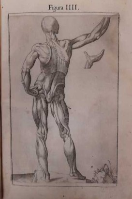 Anatomia del corpo umano,Anatomia del corpo humano di Giovanni
