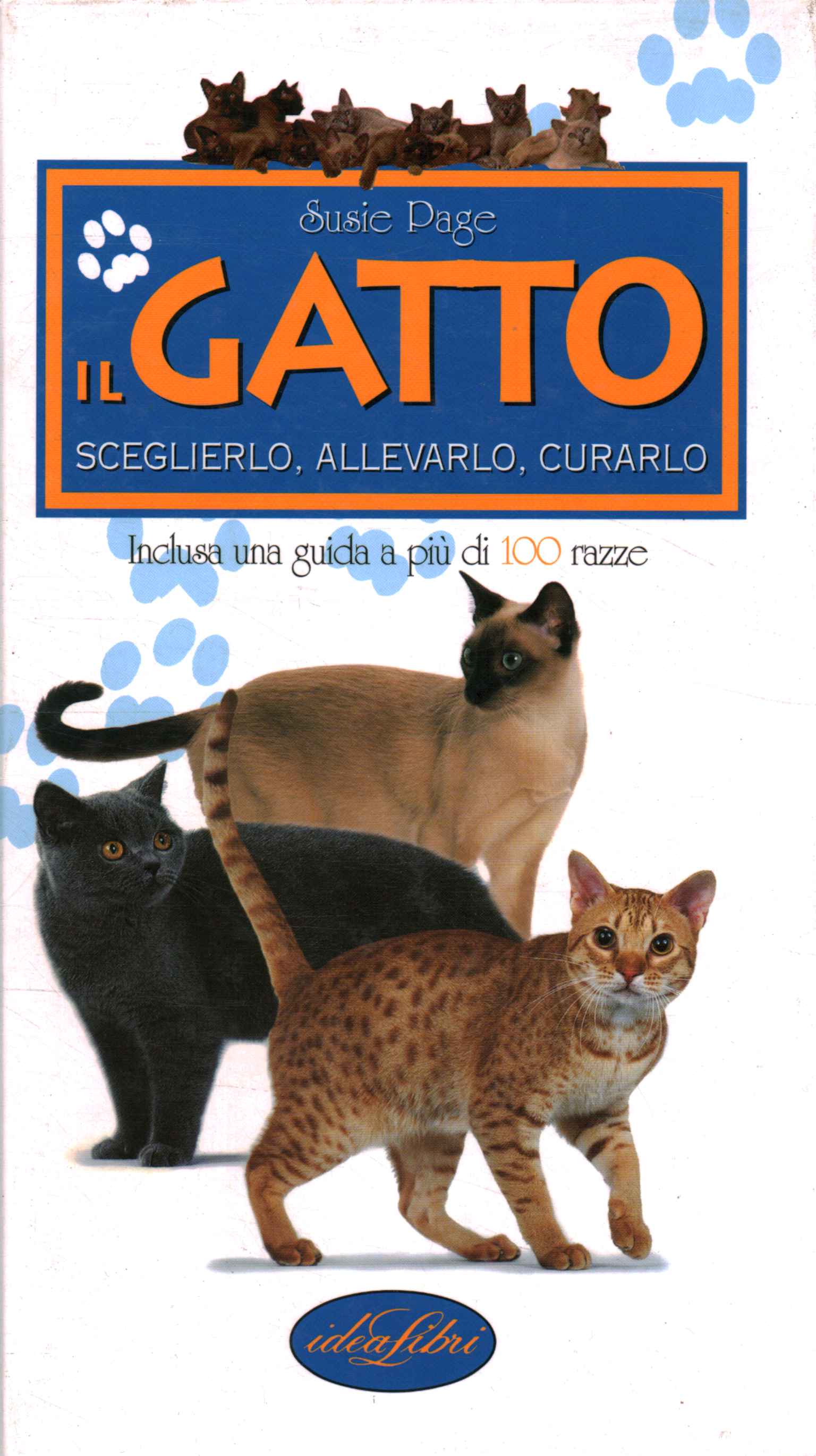 El gato