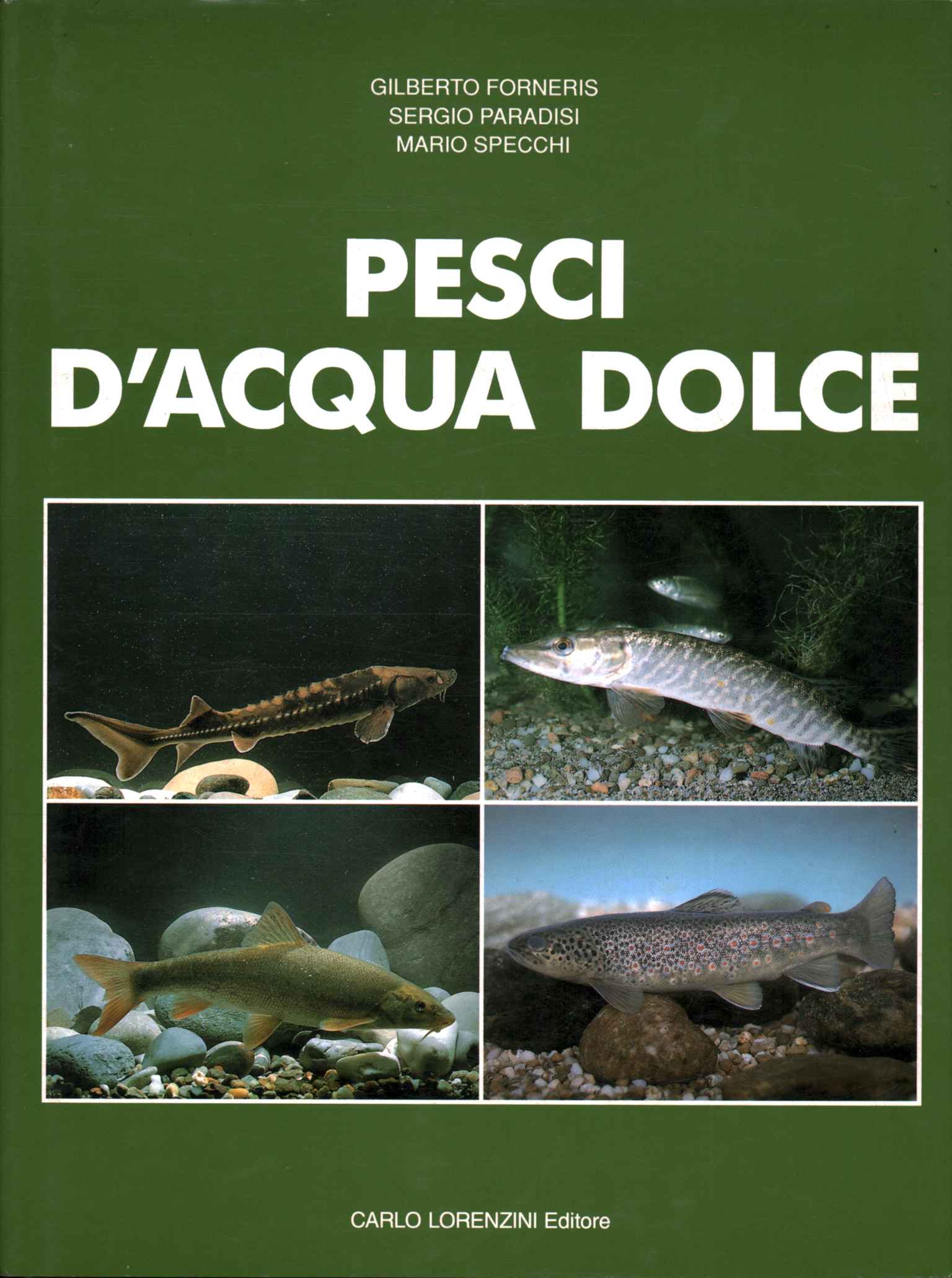 Quaderno a copertina rigida per pesci d'acqua dolce / Quaderno riciclato,  regali di biologia, stampa pesce -  Italia