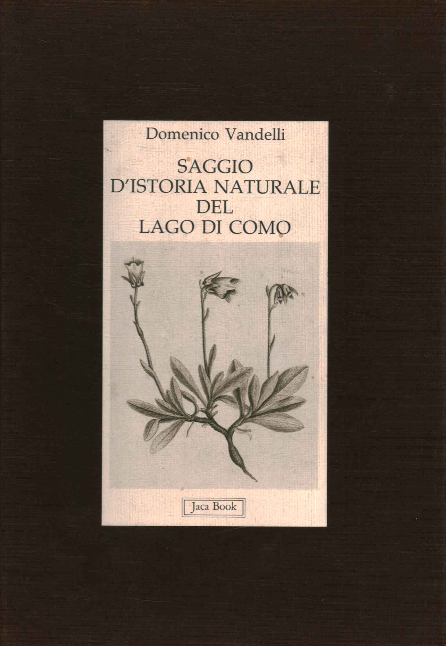 Saggio d'istoria naturale del L