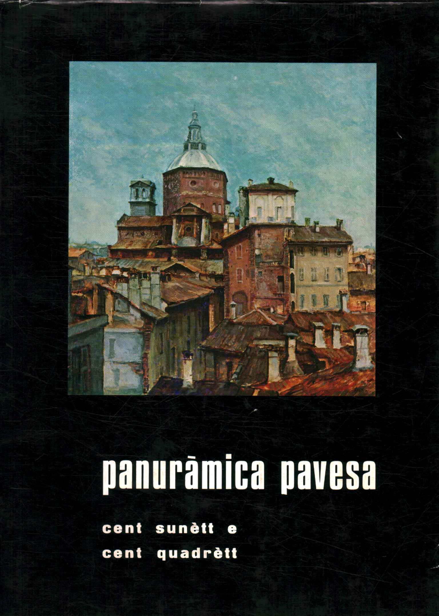 Panuràmica pavesa