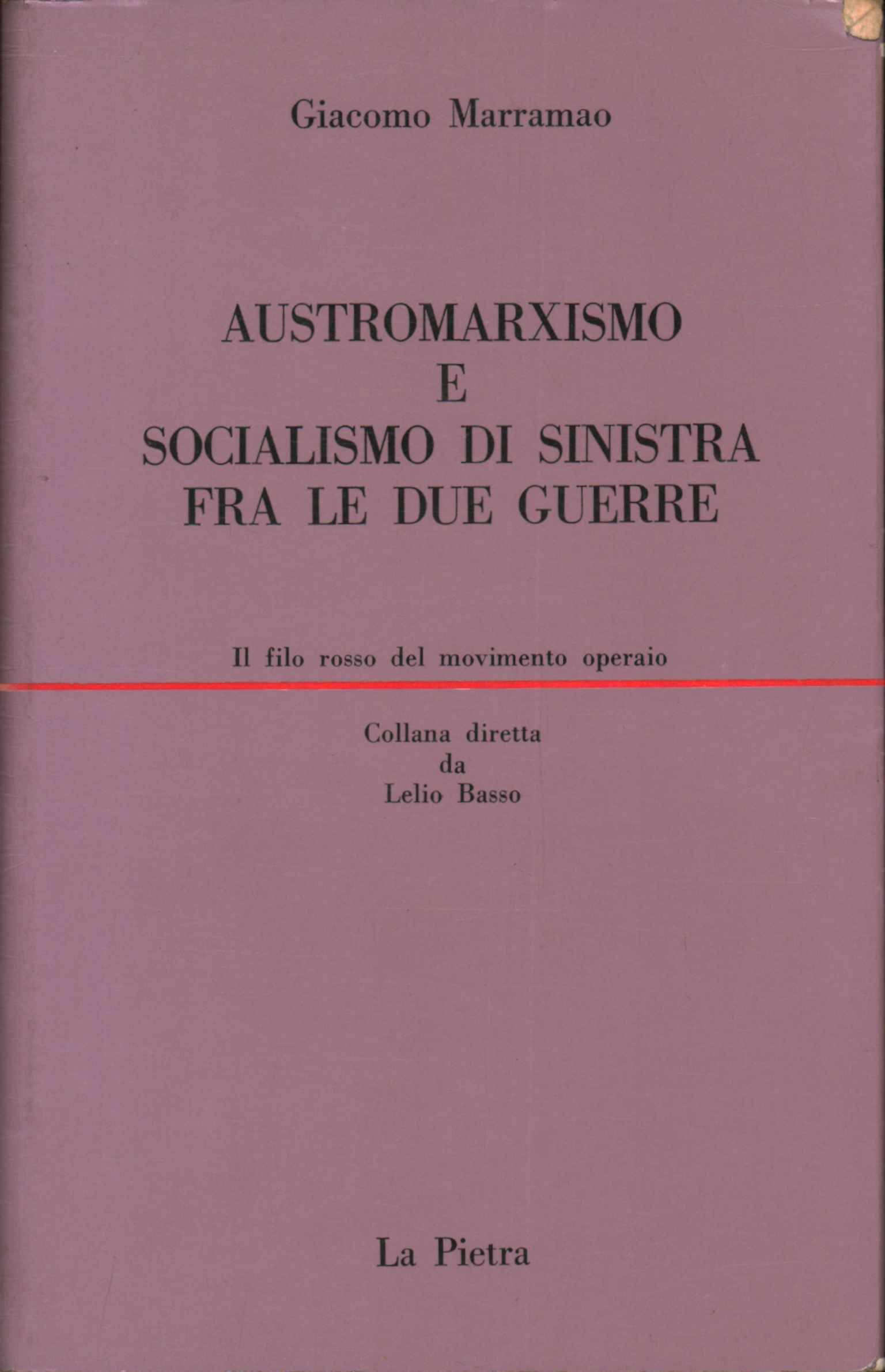 Austro-marxisme et socialisme de gauche