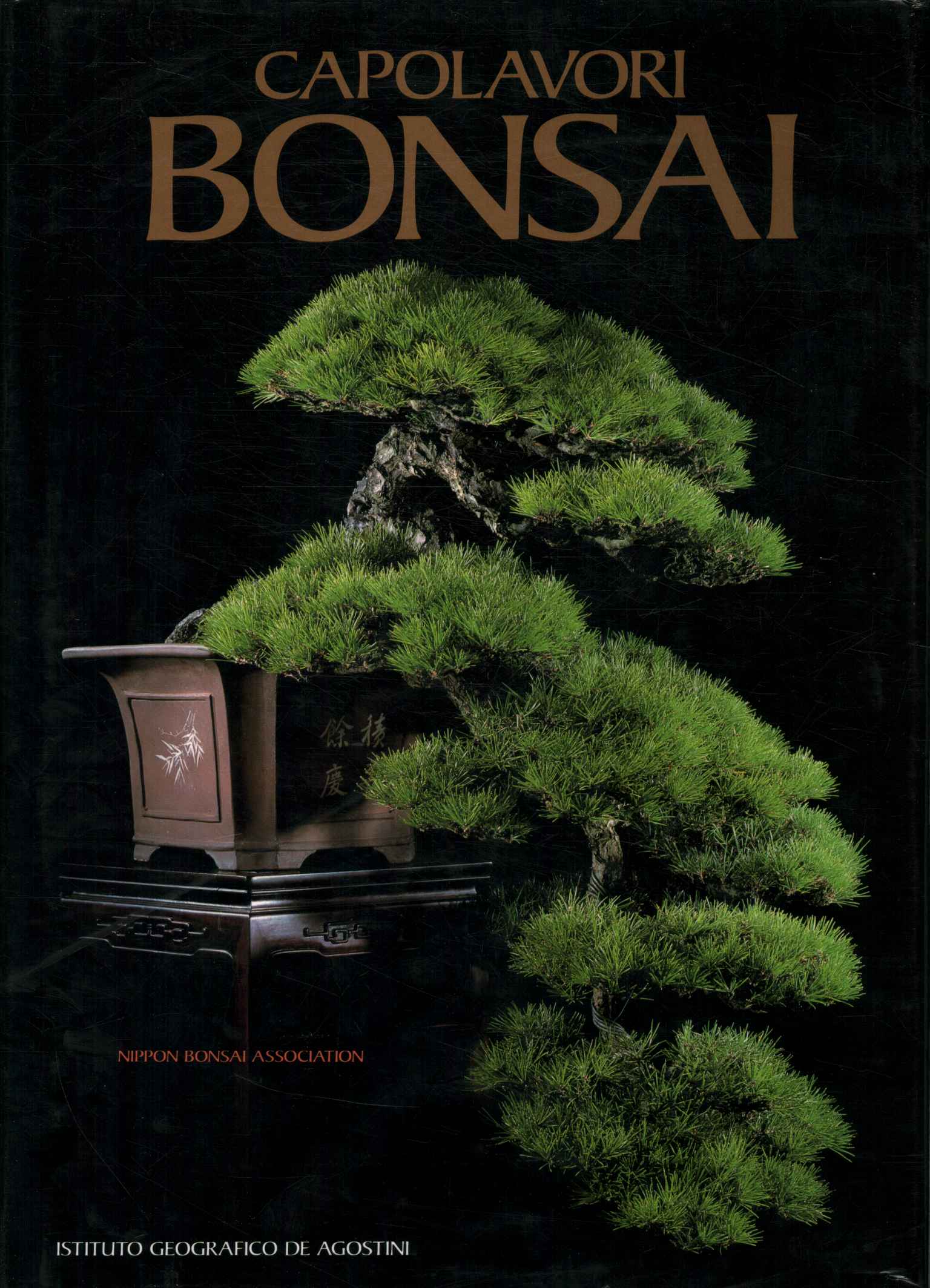 Obras maestras del bonsái