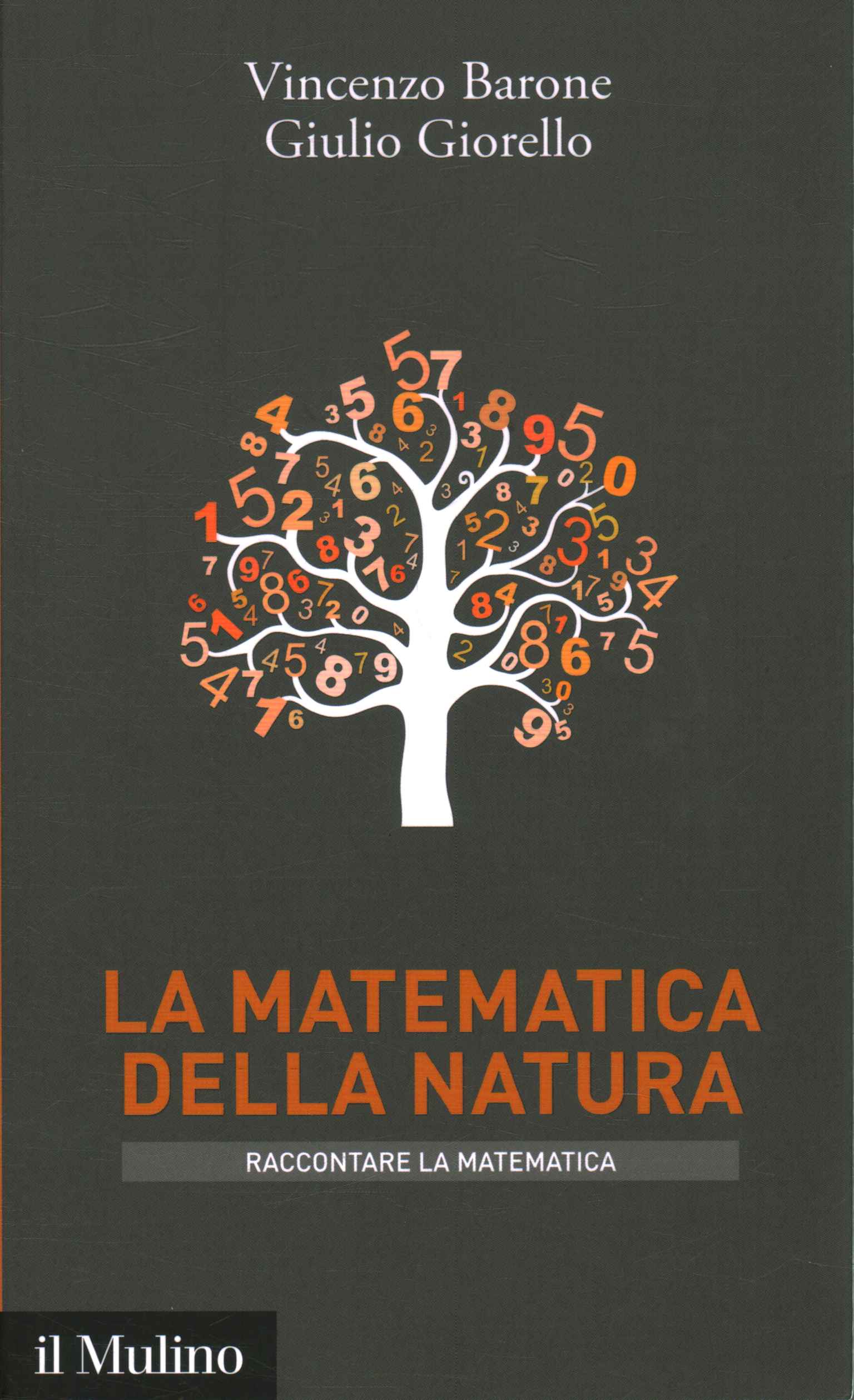 Las matemáticas de la naturaleza.