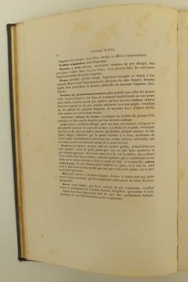 Le Verger oder Geschichte und Kultur und desc,Le Verger oder Geschichte und Kultur und desc,Le Verger oder Geschichte und Kultur und desc,Le Verger oder Geschichte und Kultur und desc,Le Verger oder Geschichte und Kultur und desc,Le Verger oder Geschichte und Kultur und desc,Le Verger Ihre Geschichte, Kultur usw