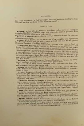 Le Verger ou histoire culture et desc,Le Verger ou histoire culture et desc,Le Verger ou histoire culture et desc,Le Verger ou histoire culture et desc,Le Verger ou histoire culture et desc,Le Verger ou histoire culture et desc,Le Verger ou histoire culture et desc