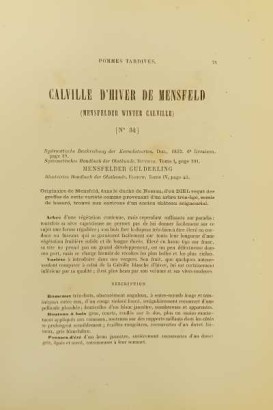 Le Verger oder Geschichte der Kultur und desc.,Le Verger oder Geschichte der Kultur und desc.,Le Verger oder Geschichte der Kultur und desc