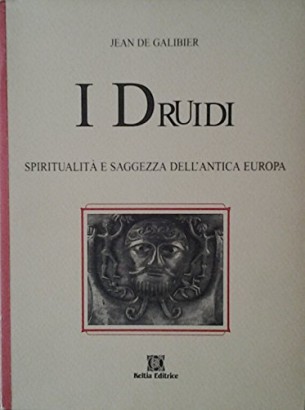 I druidi