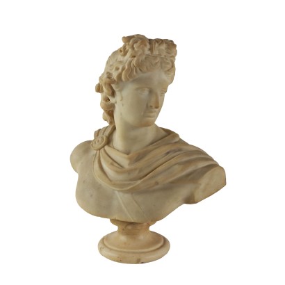 Apollo of the Belvedere Marble Bust