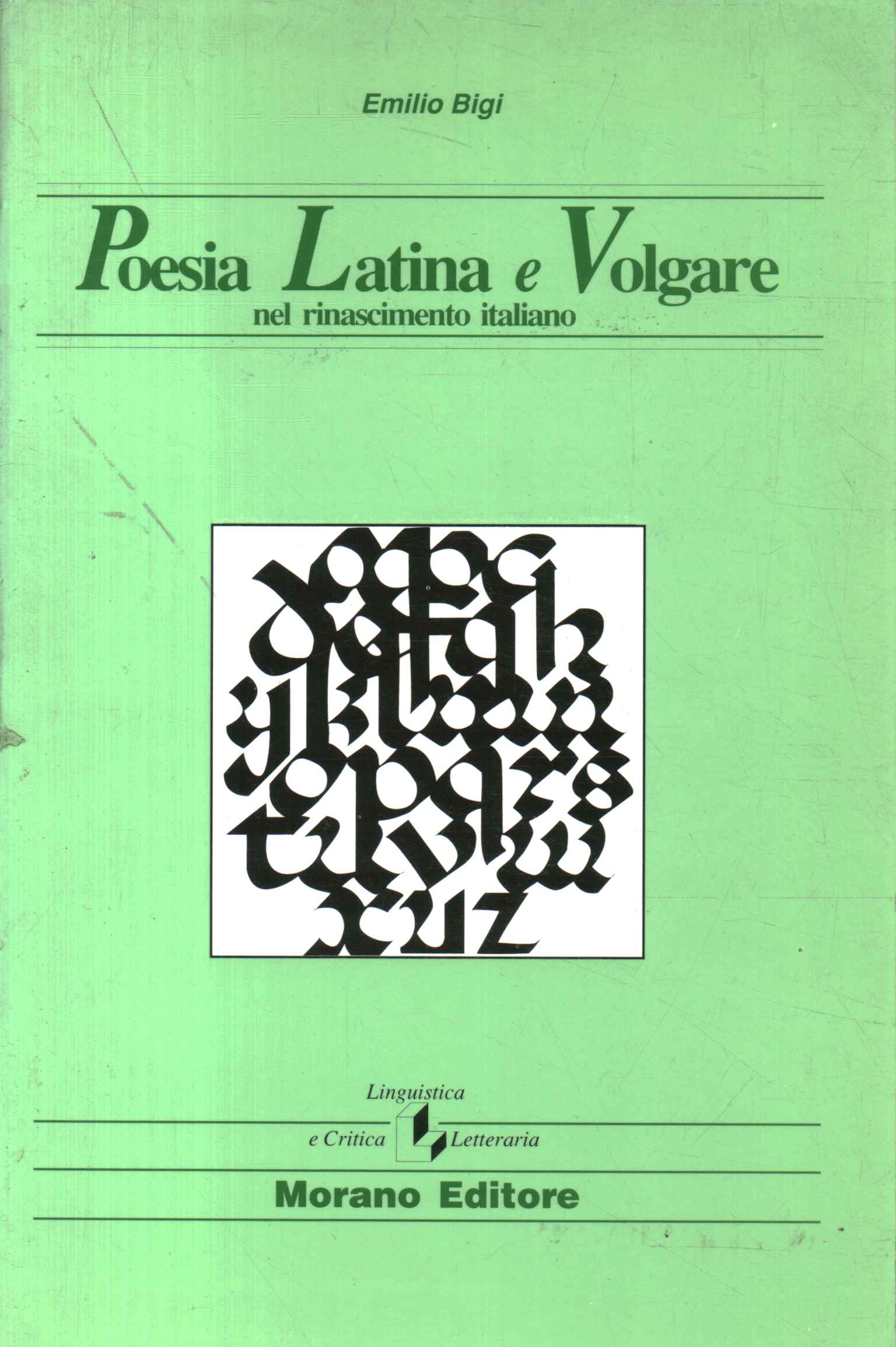 Poesia latina e volgare nel Rinascimento