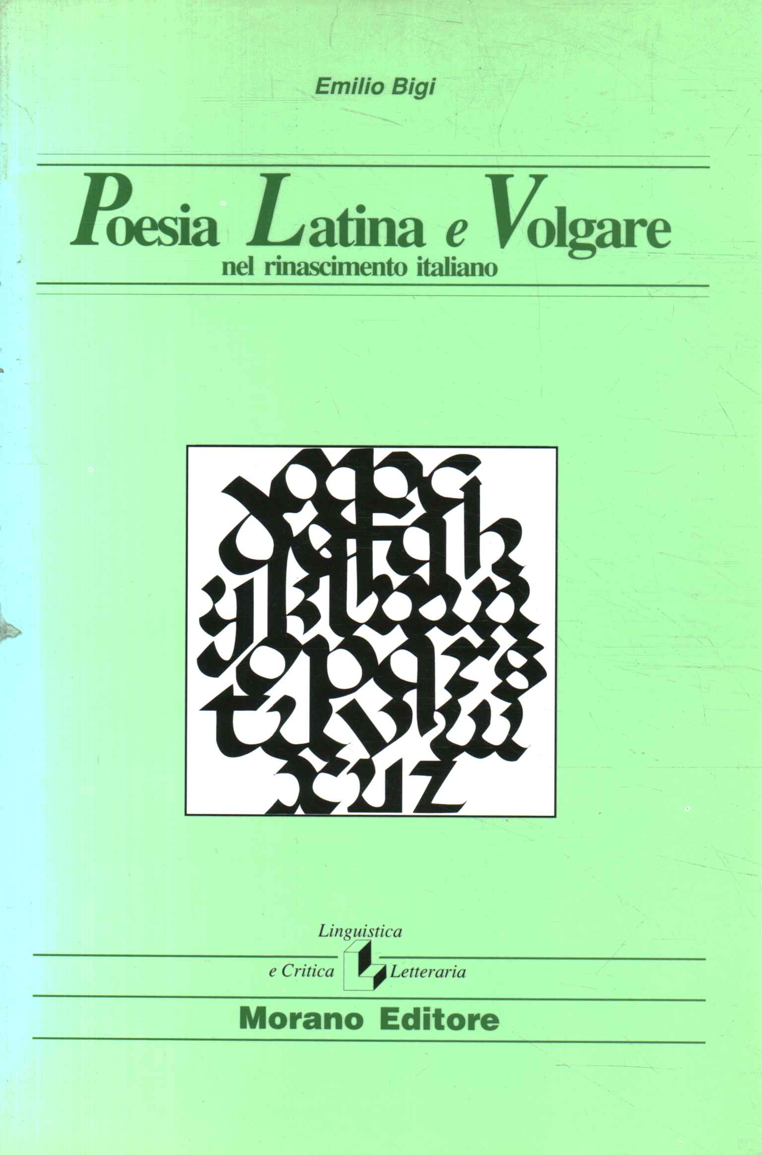 Lateinische und volkssprachliche Poesie in der Renaissance