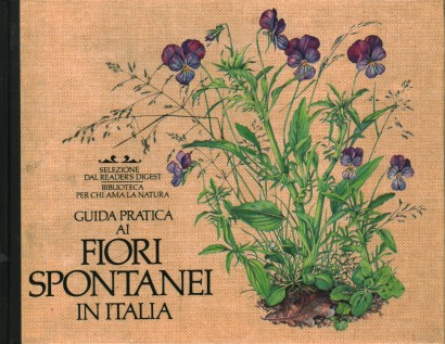 Guida pratica ai fiori spontanei in Italia
