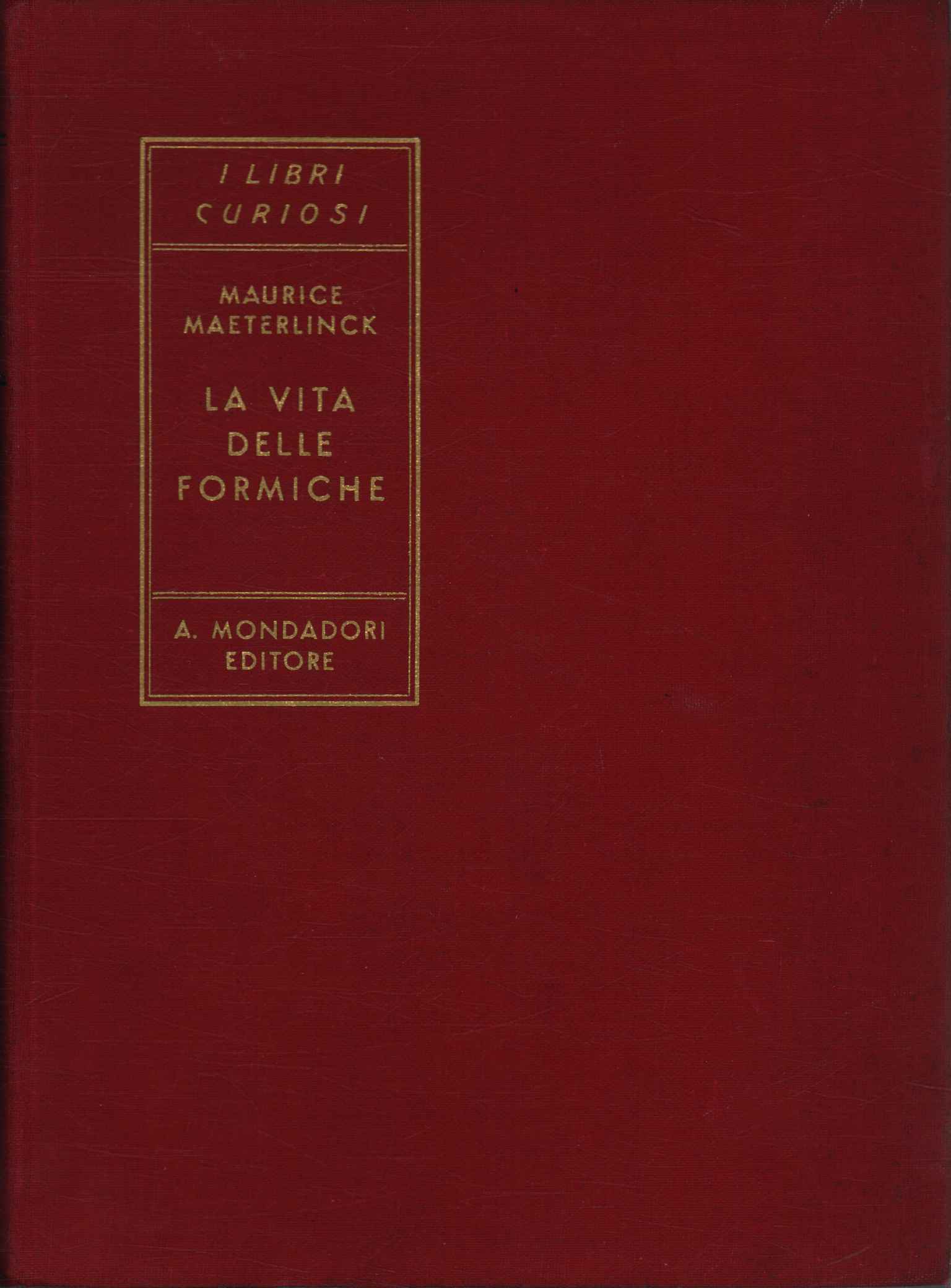 La vita delle formiche