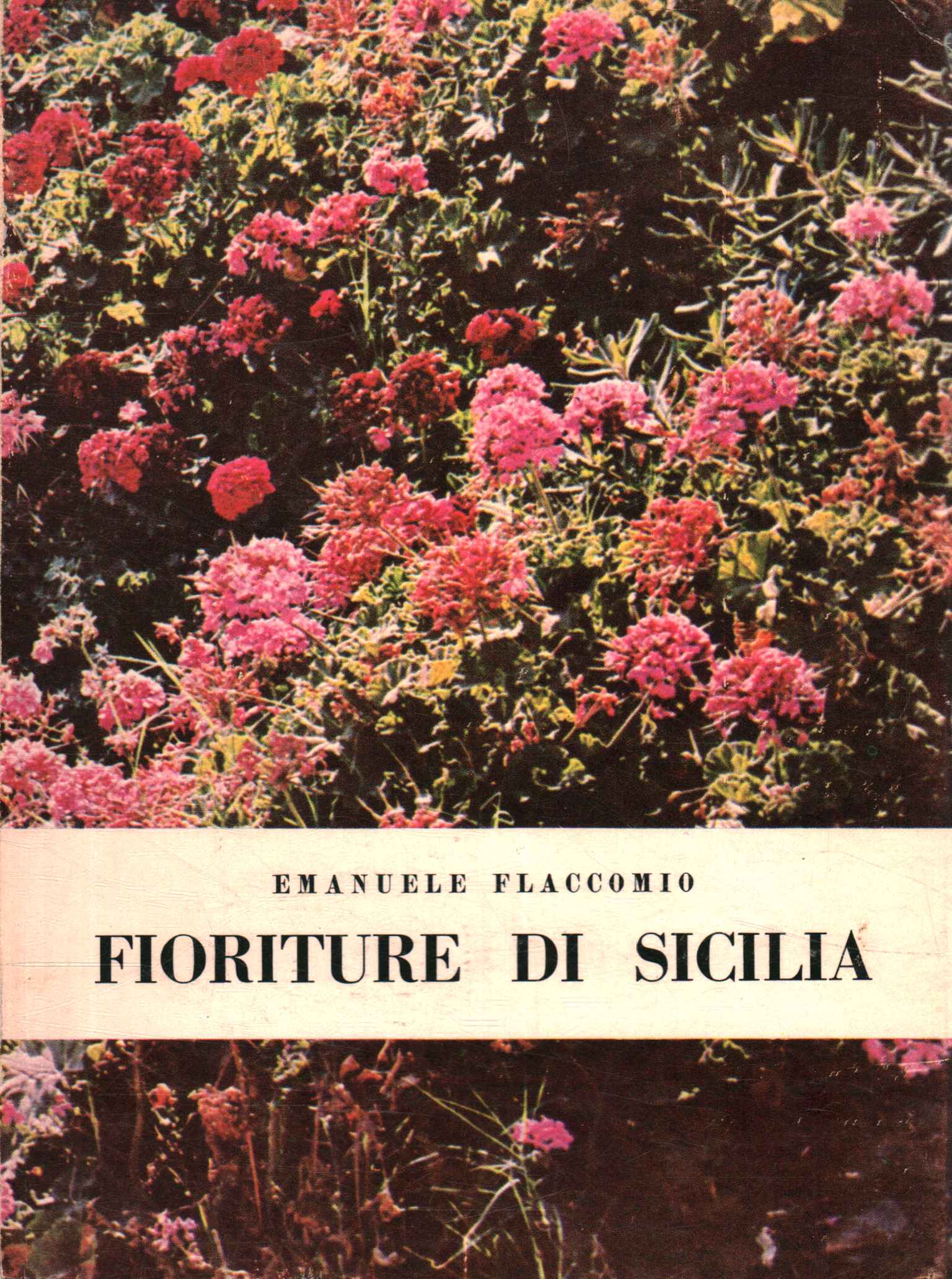 Flores sicilianas