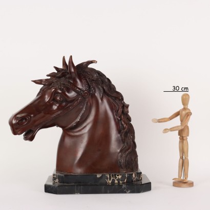 Bronze Horse Head, Bronze Horse Head F.G. Ruocco